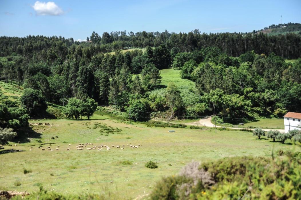 Vumba Agroturismo Arganil Exteriér fotografie