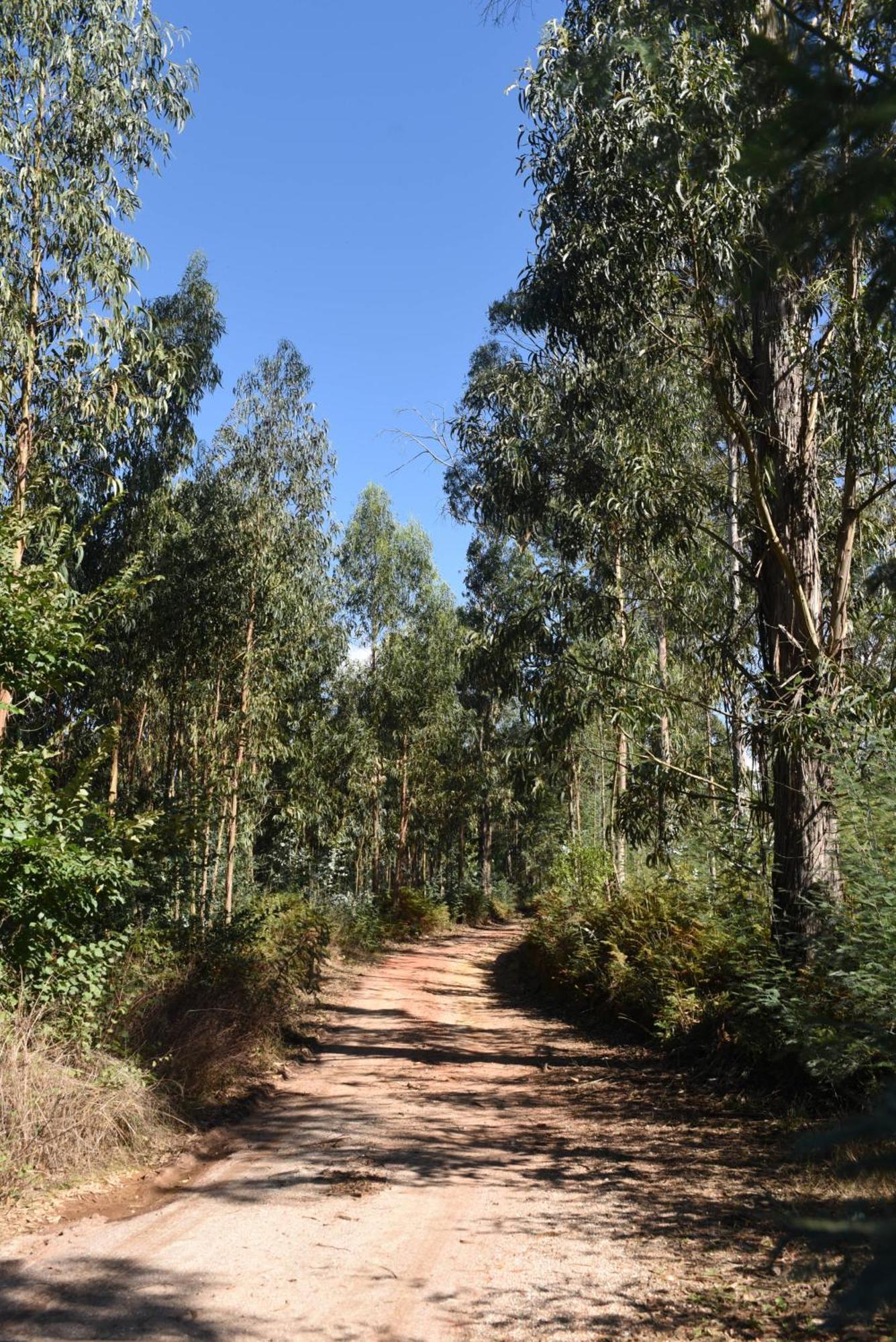 Vumba Agroturismo Arganil Exteriér fotografie